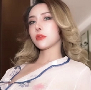 中华料理安娜91CM1571V940M