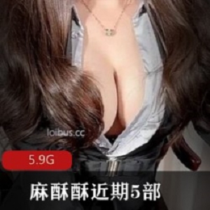 网红麻酥酥JK教师秘书吉他妹妹玫瑰奇怪蛋蛋5部5.9G身材