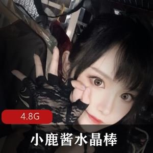 推特小鹿酱水晶棒无保护层视频合集60部4.8G乖巧御姐